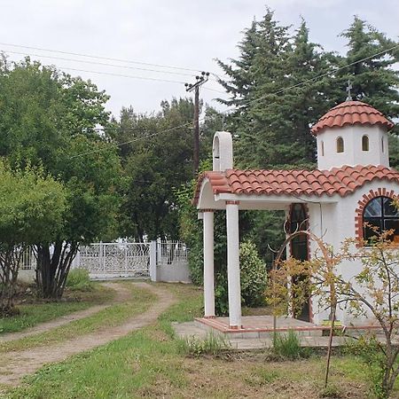Hephaestus Appartments Litochoro - A2 Εξωτερικό φωτογραφία